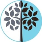Northfield Wealth Ltd