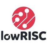 lowRISC CIC