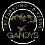 Gandys International Limited